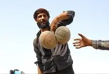 تصاویر؛ برداشت طالبی در قم