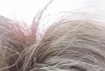 پیشنهاد مسکو برای ایران؛ آماده خارج‌ کردن سوخت هسته‌ای هستیم
