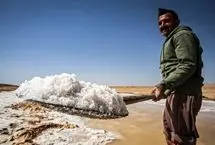 تصاویر؛ برداشت سنتی نمک