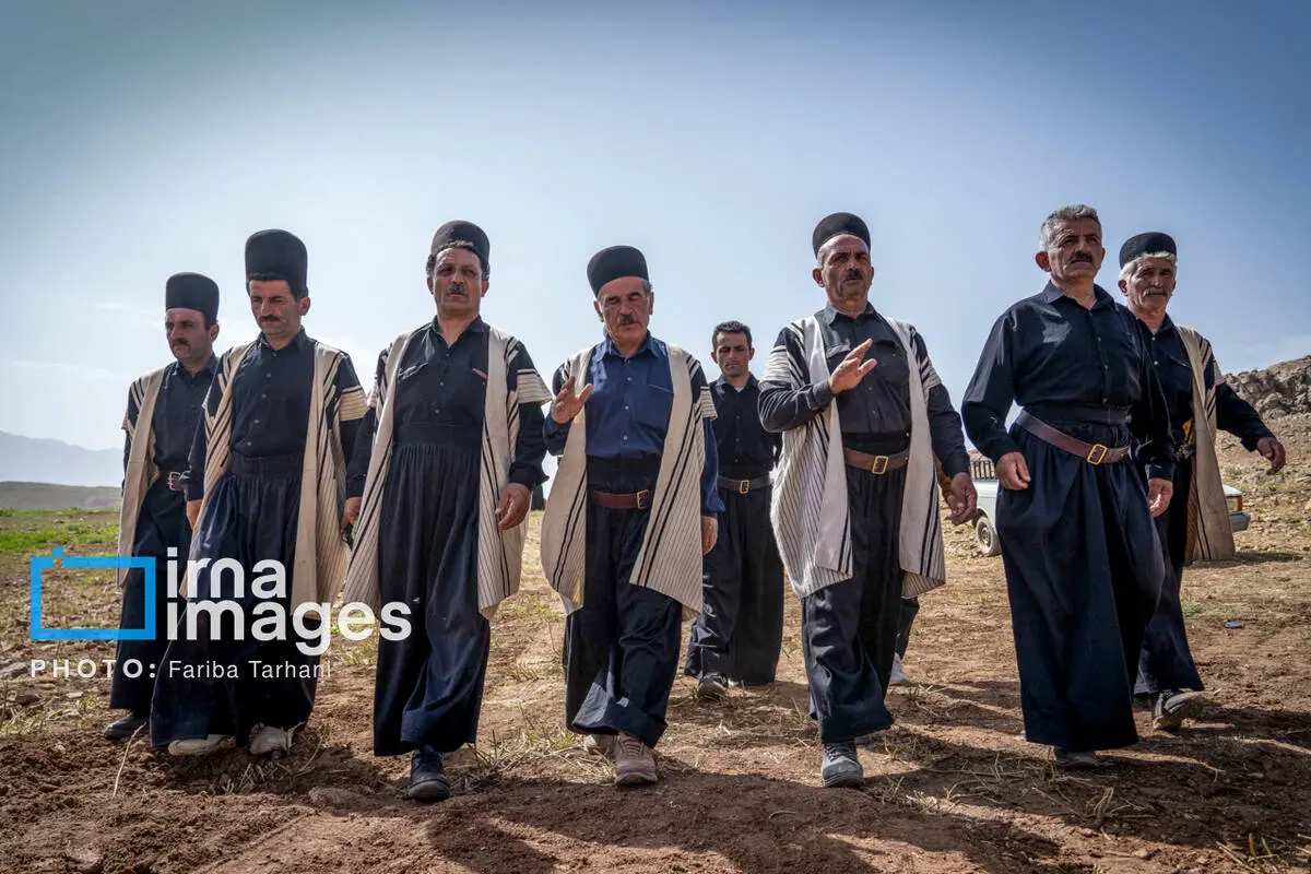 گالری
