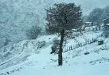 بارش برف تابستانی معدن سونگون ورزقان را سفیدپوش کرد