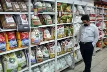 کابوس گرانی برنج؛ چرا قیمت‌ها پایین نمی‌آید؟