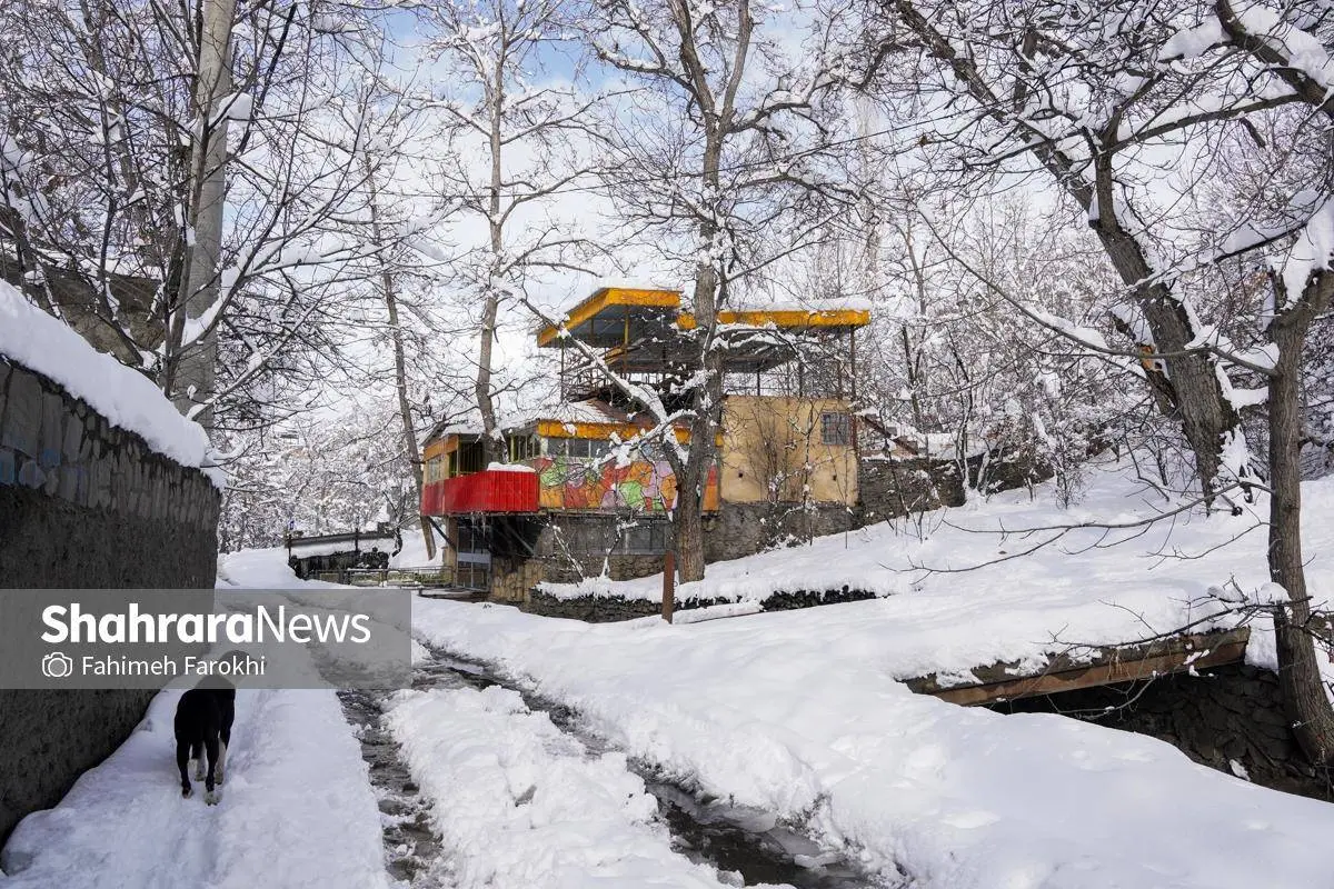 تصاویر؛ طبیعت زمستانی روستای کنگ 25