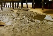 کشف ردپاهای ۸۰۰ هزار ساله انسان‌