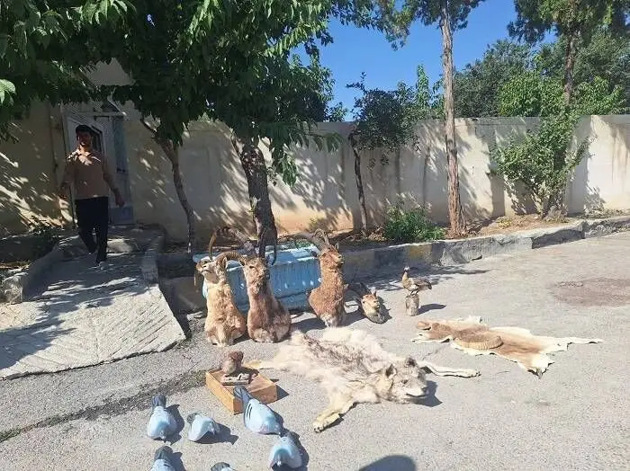 انهدام باند بزرگ شکارچیان در چهارمحال‌وبختیاری