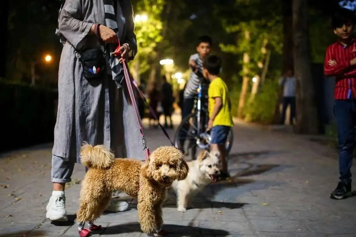 فروش سگ آزاد و بیرون بردن آن ممنوع است؟!