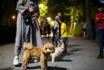 فروش سگ آزاد و بیرون بردن آن ممنوع است؟!