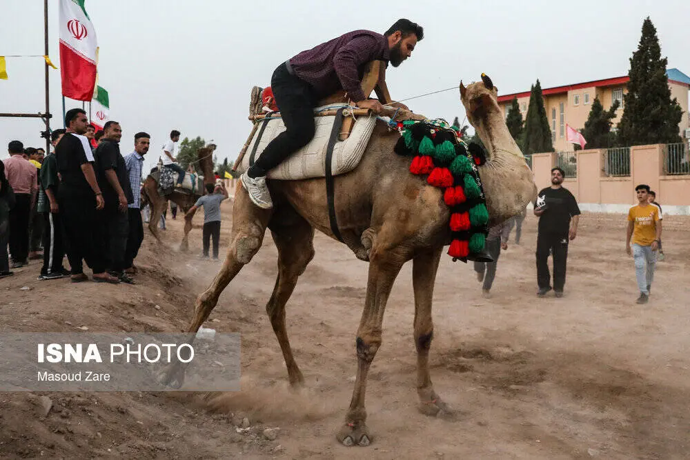 گالری