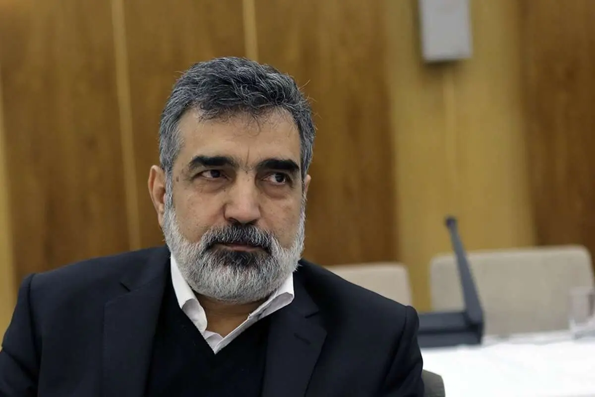 سخنگوی سازمان انرژی اتمی: اورانیوم غنی‌شده ۶۰ درصد حتماً جایش امن است 
