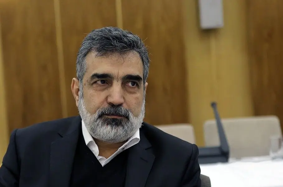 سخنگوی سازمان انرژی اتمی: اورانیوم غنی‌شده ۶۰ درصد حتماً جایش امن است 
