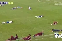 حمله دسته‌جمعی زنبورها، فینال فوتبال برزیل را متوقف کرد