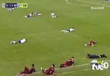 حمله دسته‌جمعی زنبورها، فینال فوتبال برزیل را متوقف کرد