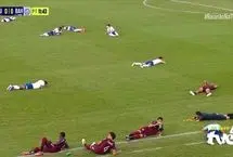 حمله دسته‌جمعی زنبورها، فینال فوتبال برزیل را متوقف کرد