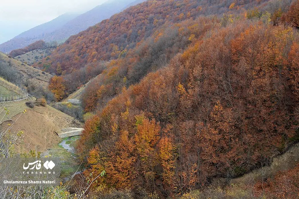 عکس صفحه گوشی پاییز