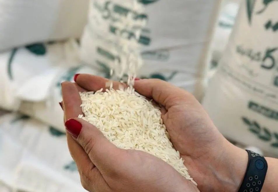 علت برنج ۳۰۰ هزار تومانی از زبان وزیر جهاد کشاورزی
