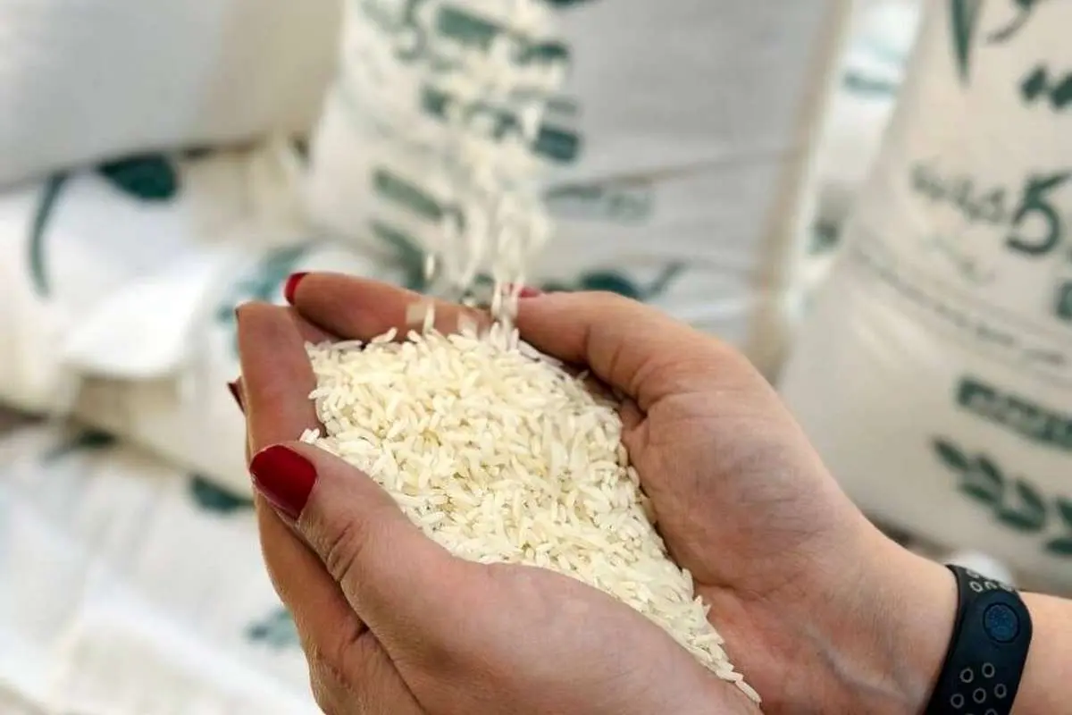 علت برنج ۳۰۰ هزار تومانی از زبان وزیر جهاد کشاورزی