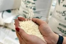 برنج ایرانی؛ قربانی سیاست‌های دستوری