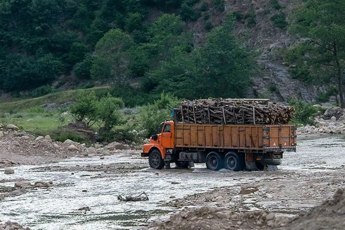 ماجرا تخریب و جاده‌کشی در جنگل‌های هیرکانی / نیمی از باارزش‌ترین جنگل‌های هیرکانی را از دست داده‌ایم / این وضعیت نتیجه ساده‌سازی‌های نابخردانه است