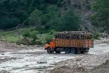 ماجرا تخریب و جاده‌کشی در جنگل‌های هیرکانی / نیمی از باارزش‌ترین جنگل‌های هیرکانی را از دست داده‌ایم / این وضعیت نتیجه ساده‌سازی‌های نابخردانه است