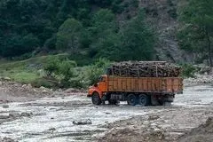 ماجرا تخریب و جاده‌کشی در جنگل‌های هیرکانی / نیمی از باارزش‌ترین جنگل‌های هیرکانی را از دست داده‌ایم / این وضعیت نتیجه ساده‌سازی‌های نابخردانه است