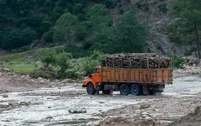 ماجرا تخریب و جاده‌کشی در جنگل‌های هیرکانی / نیمی از باارزش‌ترین جنگل‌های هیرکانی را از دست داده‌ایم / این وضعیت نتیجه ساده‌سازی‌های نابخردانه است