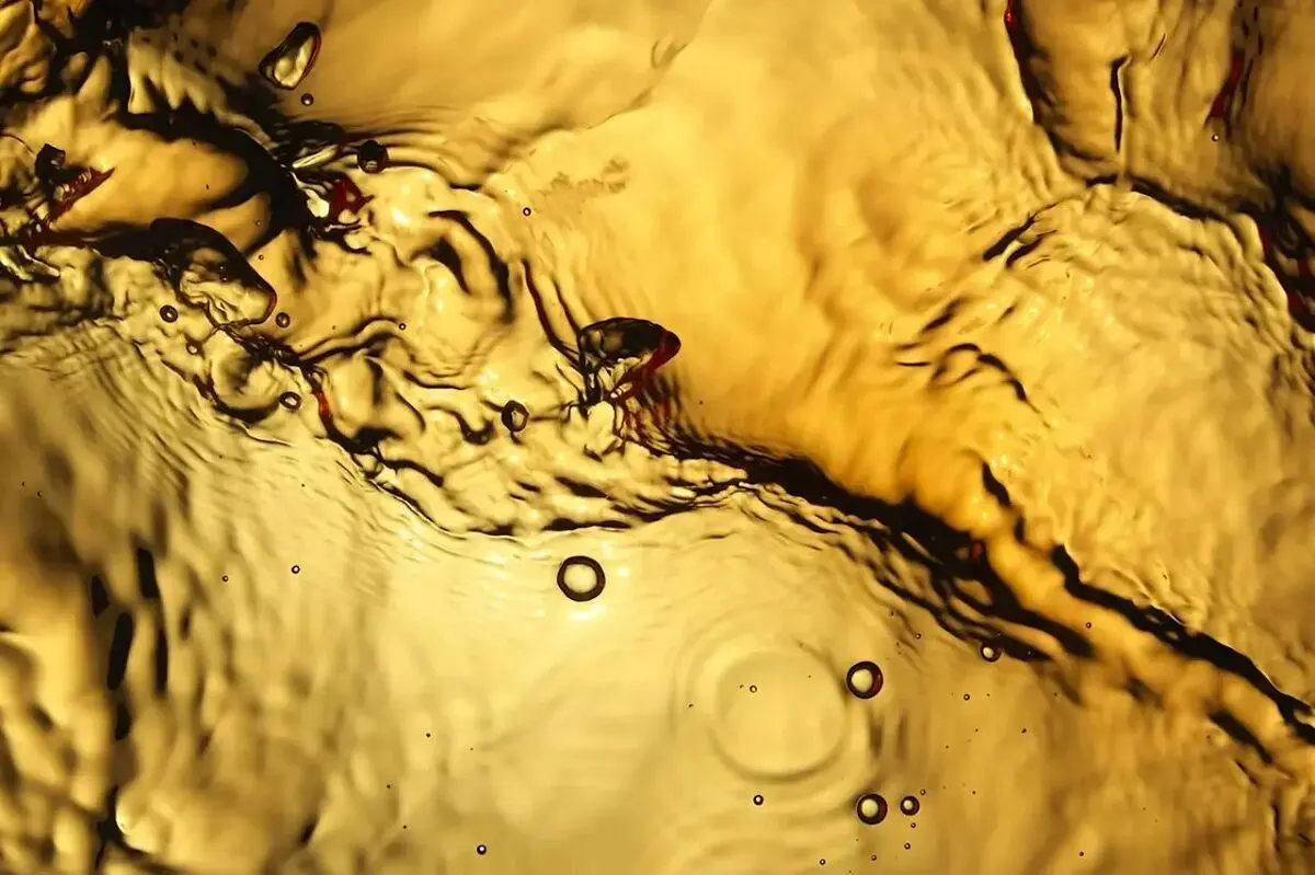 از توالت تا مزرعه؛ چرا ادرار دوباره به‌عنوان کود کشاورزی جدی گرفته می‌شود؟
