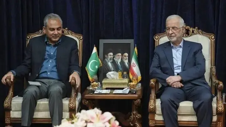 جزئیات گفت‌وگوی وزیر کشور با همتای پاکستانی از زبان مومنی
