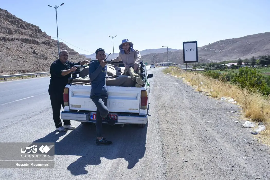 گالری