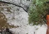 تگرگ آنکارا را سفیدپوش کرد