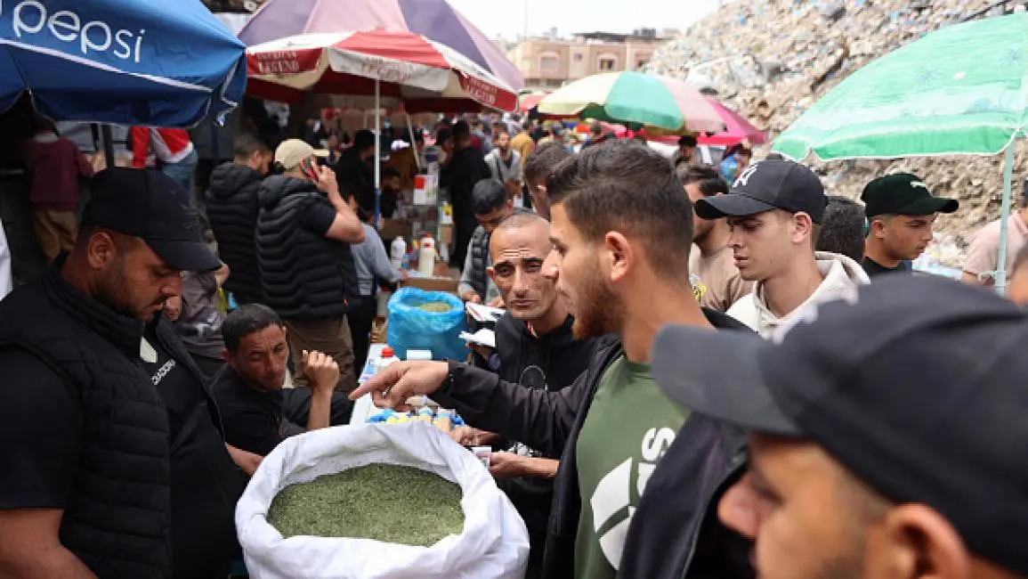 سیگاری های غزه «ملوخیه» می‌کشند