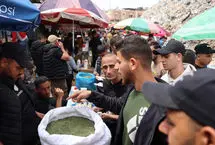 سیگاری های غزه «ملوخیه» می‌کشند