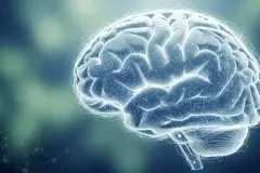 کشف غیرمنتظره ارتباط میان جذابیت بصری و سوخت مغزی