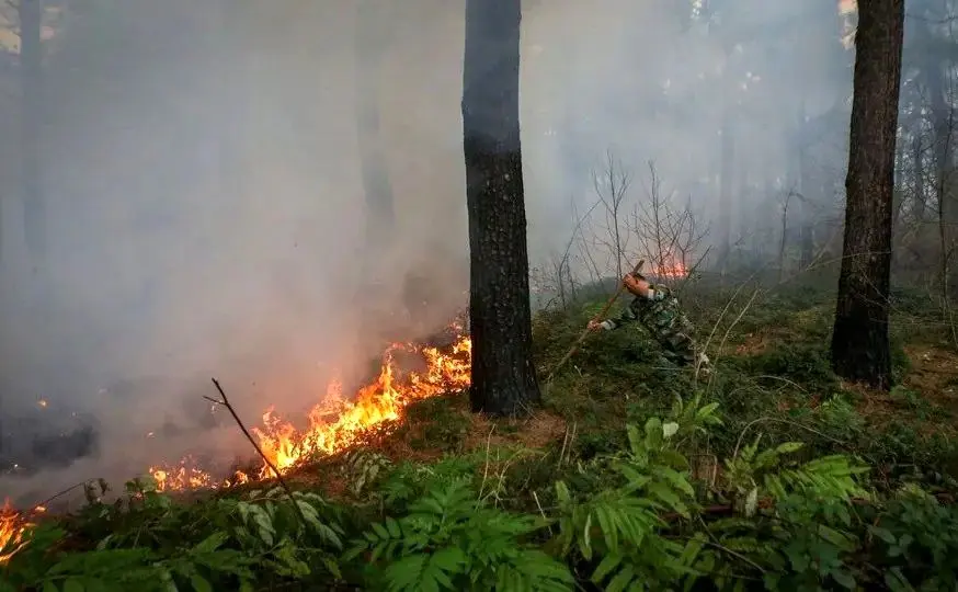 تصاویری از آتش‌سوزی جنگل‌های الیت مرزن آباد