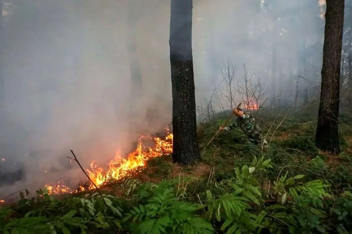 حریق در عرصههای جنگلی چالوس/ تلاشها برای اطفای حریق ادامه دارد