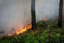 دود این آتش به چشم همه می‌رود، از مازندران تا بلوچستان

