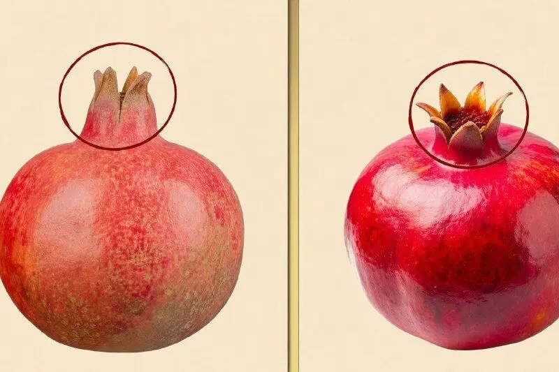 راهنمای انتخاب میوه های پاییزی و زمستانی؛ انار، پرتقال و خرمالو