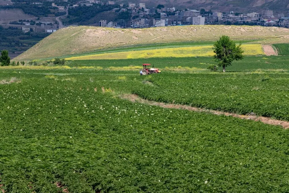 تصاویر؛ طبیعت بهاری هندوستان ایران