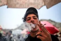 تصاویر؛ سیگارهای عجیب ساخته شده با سبزی در غزه