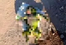 کشف پیکر نوزاد یک‌روزه در کانال آب ری-ورامین