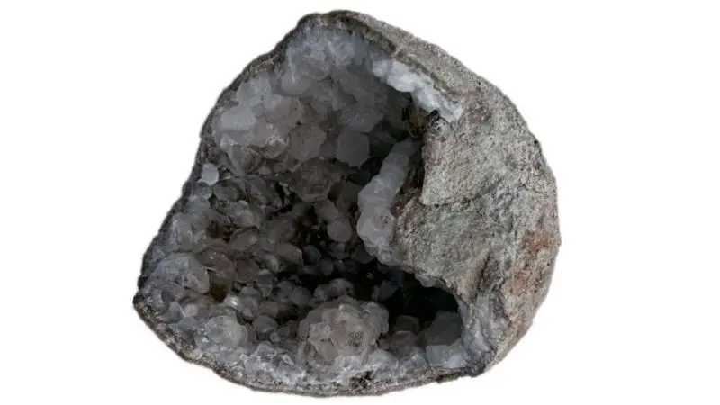 تخم دایناسور