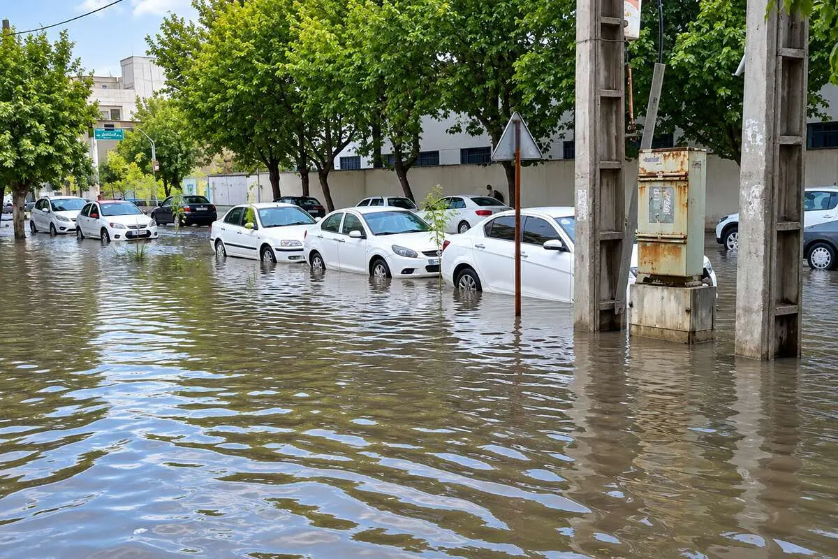 مدیریت بحران: بیشترین خسارت باران سیل‌آسا در مازندران، مربوط به آبگرفتگی معابر، زیرگذرها و سقوط درختان در معابر شهری بوده