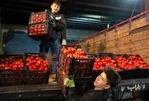 جهش 41 درصدی قیمت گوجه فقط در یک ماه!