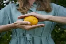 راز طول عمر از زبان جراح گوارش: 9 میوه برتر برای سلامتی