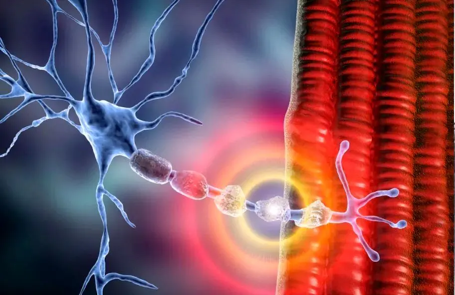 نخستین‌بار در جهان: درمان ام‌اس با سلول‌های ضدسرطان