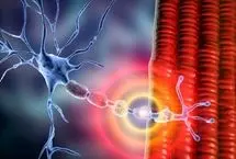 نخستین‌بار در جهان: درمان ام‌اس با سلول‌های ضدسرطان