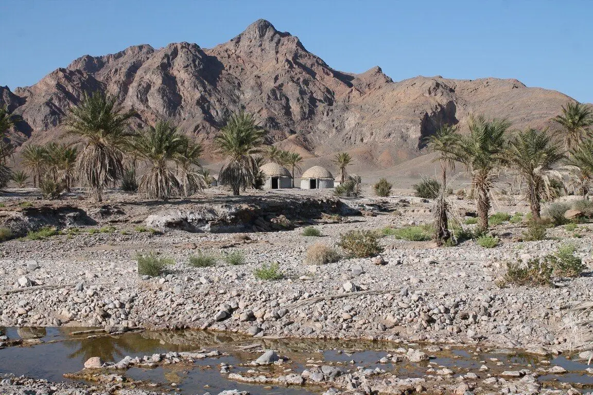 آخرین وضعیت  از خسارت جانی و مالی زلزله کرمان