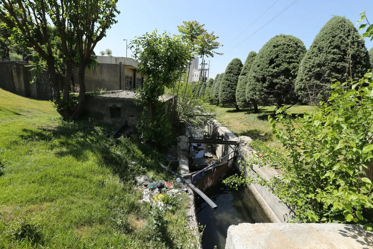 گنجی که روس‌ها در زرگنده جا گذاشتند