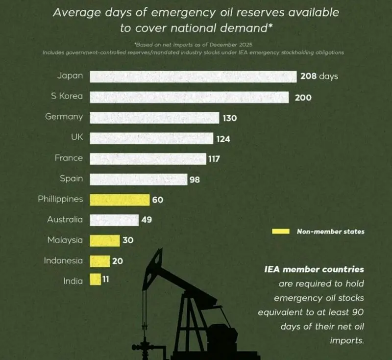 photo_2026-03-26_15-39-01