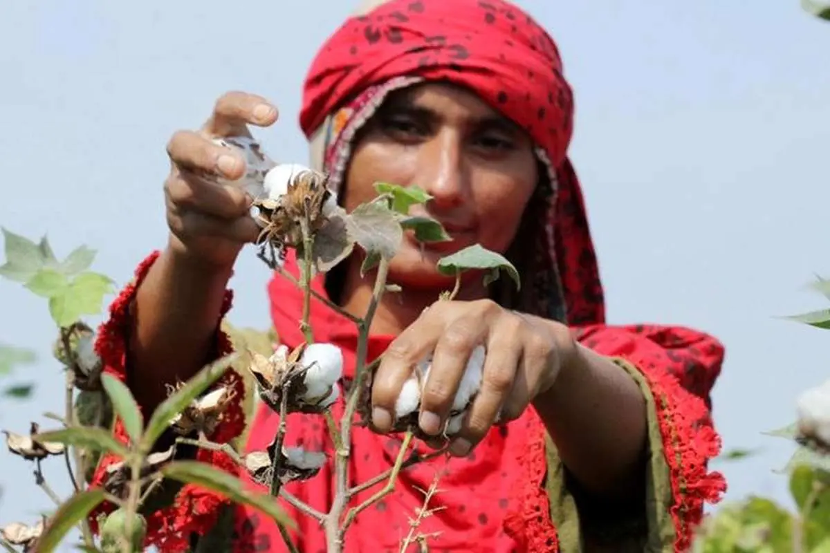 پروژه‌های TIKA در کشاورزی: افزایش تولید یا بدهی برای کشاورزان محلی؟