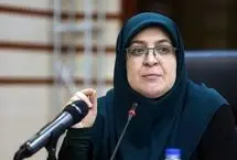 مهاجرانی خبر داد: تقسیم کار دولت برای کنترل اوضاع در قالب ۴ کمیته